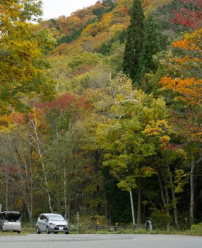 岐阜県、郡上八幡と高山を結ぶ飛騨せせらぎ街道。錦秋のドライブルートはため息の連続でした。