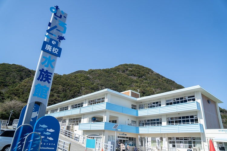 高知県室戸にある廃校を利用した水族館「むろと廃校水族館」に行ってきた